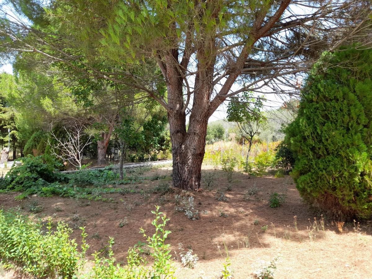 Lemontree Apartments Kassiopi Exterior foto