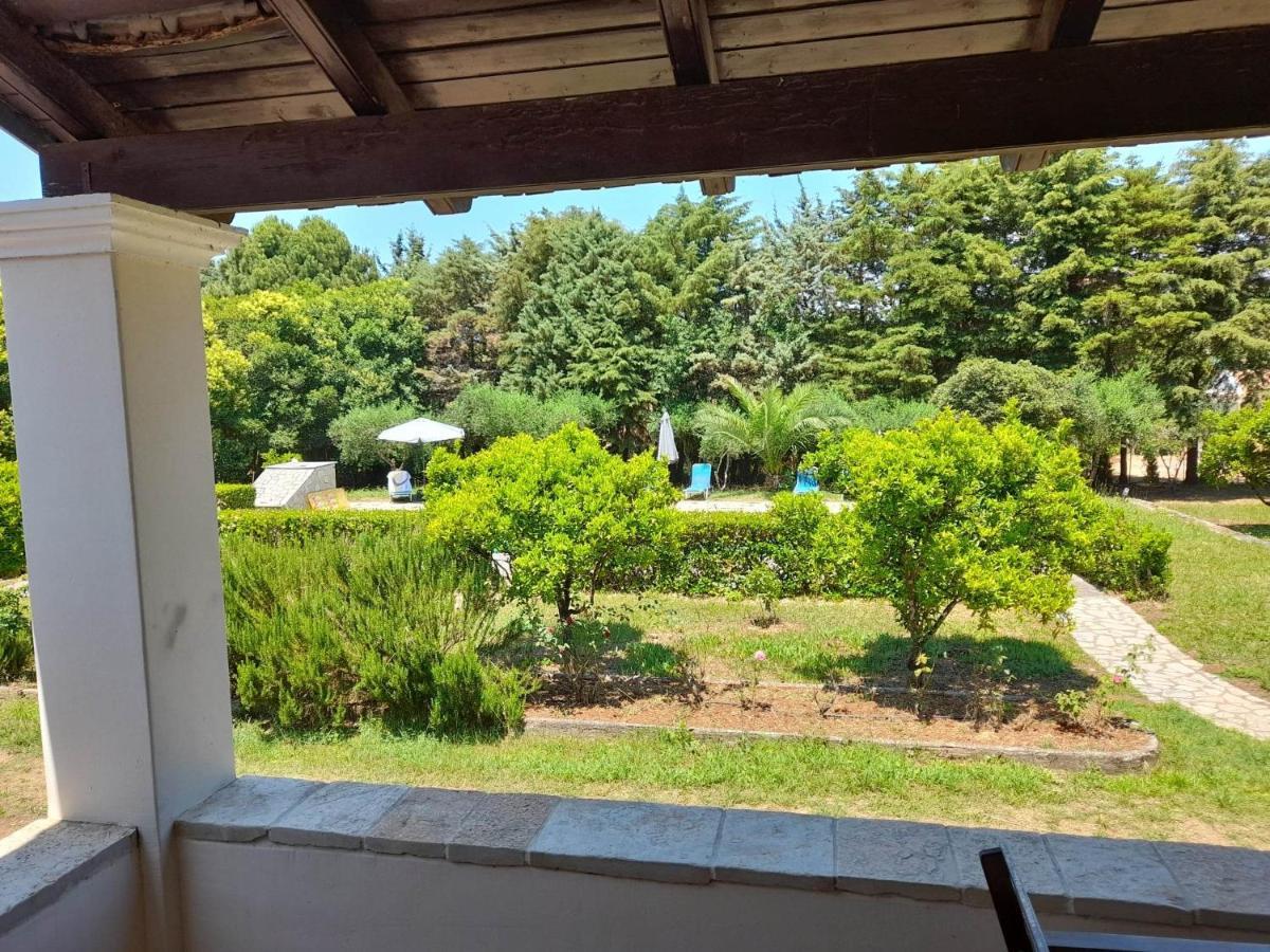 Lemontree Apartments Kassiopi Exterior foto
